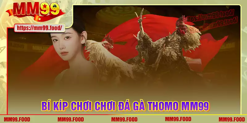 Bí kíp chơi đá gà mm99 bất bại cho kê thủ