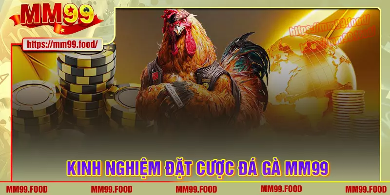Kinh nghiệm chơi đá gà mm99 hay cần phải biết