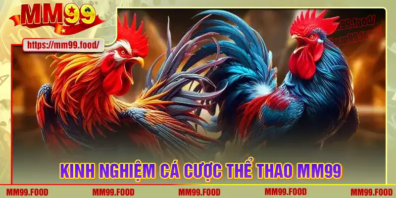 Tổng quan chung về đá gà mm99